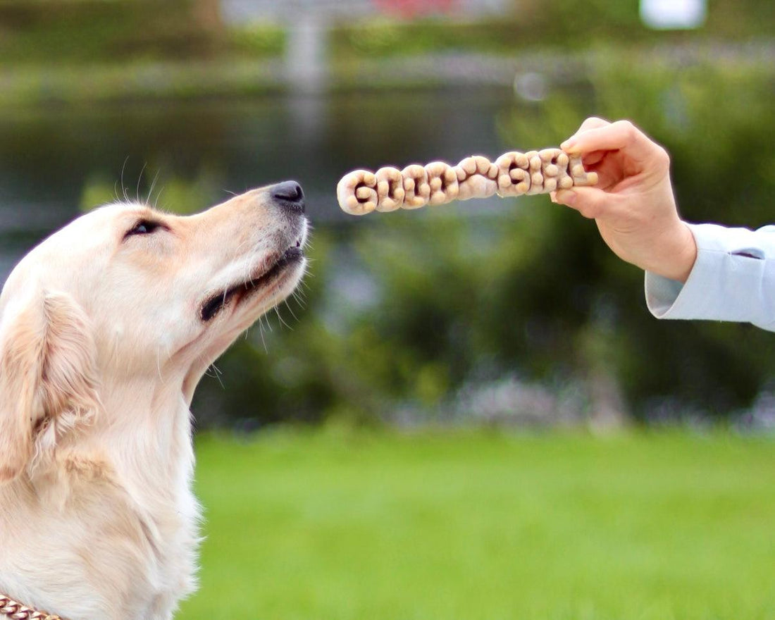 Your Dog’s Dental Sticks Do More Harm Than Good